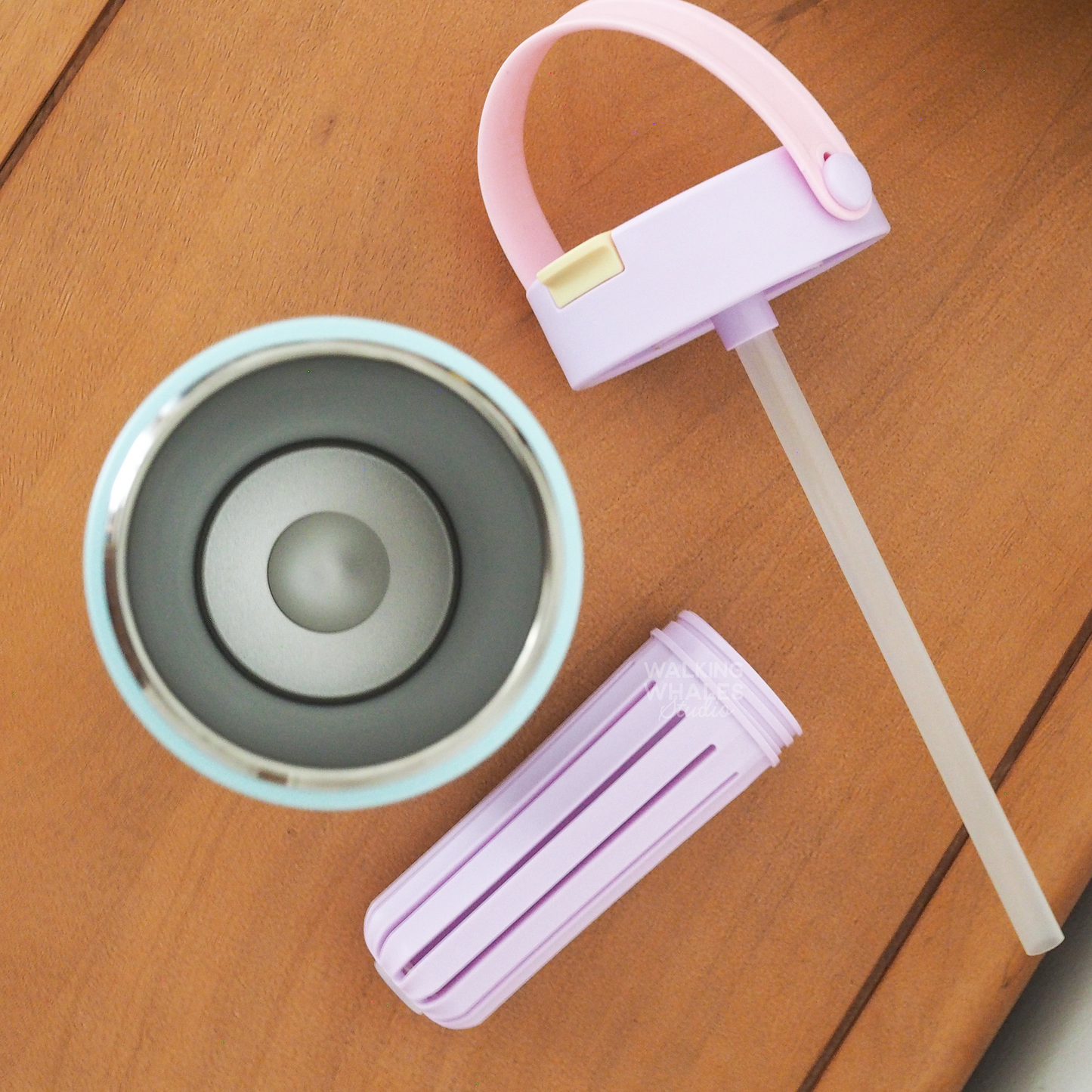 Insulated Water Bottle in Frog & Clover